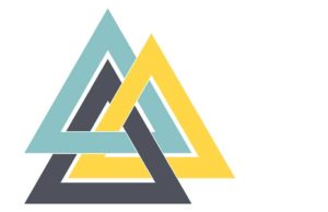 The project leadership insitute