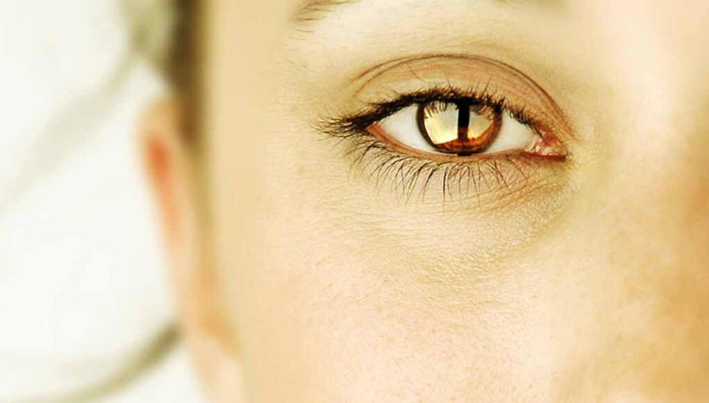 Workplace-Spirituality-How-and-why-it-works-like-a-charm