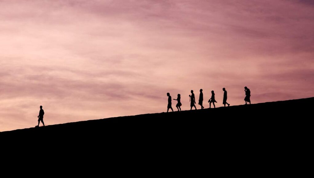 project-managment-to-project-leadership