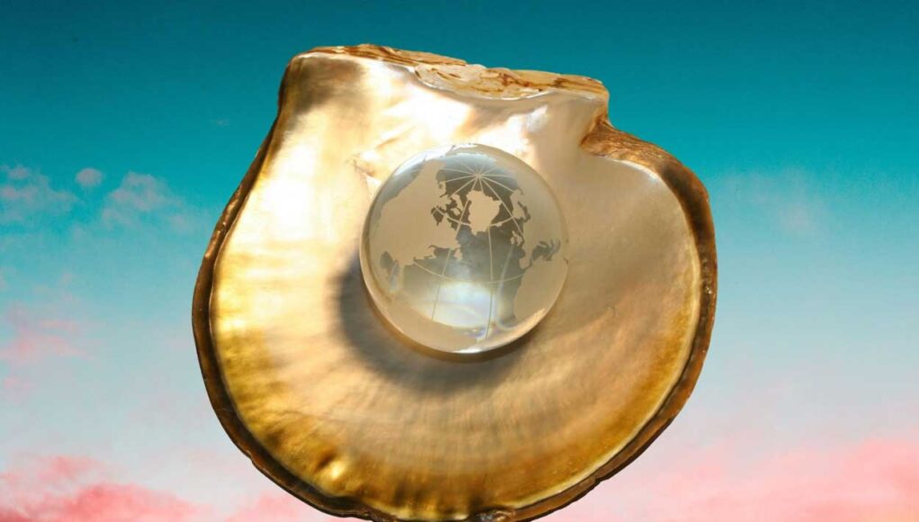 The World as an Oyster What Shapes the Way you Think as a Leader?