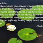 Mindfulness-Mud-and-Lotus