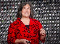 The Career Advice you Probably didn’t get | Susan Colantuono