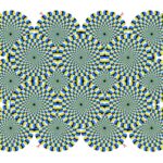 How to Deal with Uncertainty and Drive Success Based on Mastering Ambiguity