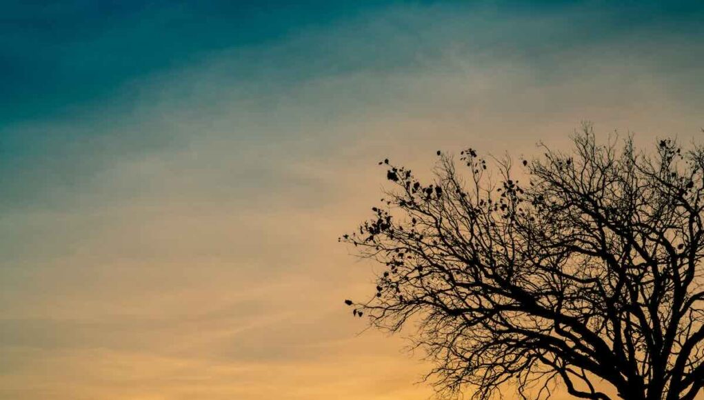 Grief Quotes for Overcoming Loss and Workplace Grievance