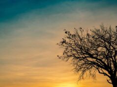 Grief Quotes for Overcoming Loss and Workplace Grievance Grief Quotes for Overcoming Loss and Workplace Grievance